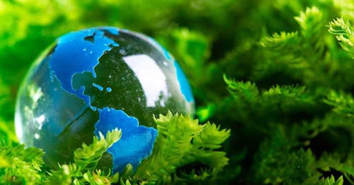 Cam kết với môi trường